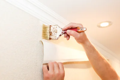 Pose de papier peint à la Bastide-des-Jourdans — revêtements muraux et toiles de verre